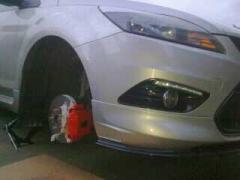 focus painted calipers
