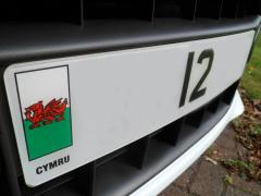 Custom Welsh 12 Plate