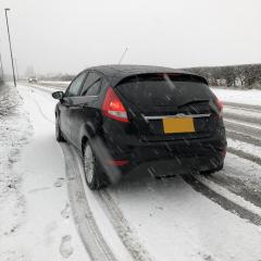 Rear in the snow