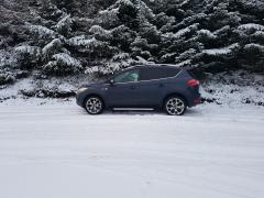 Kuga in the snow